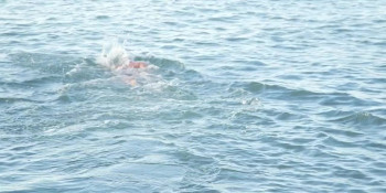 Kim Swims (2017) download