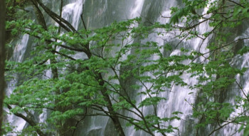 Amida-dô dayori (2002) download