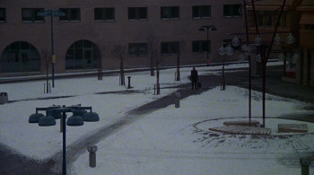 Sällskapsresan (1980) download