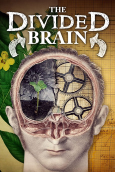 The Divided Brain (2019) download